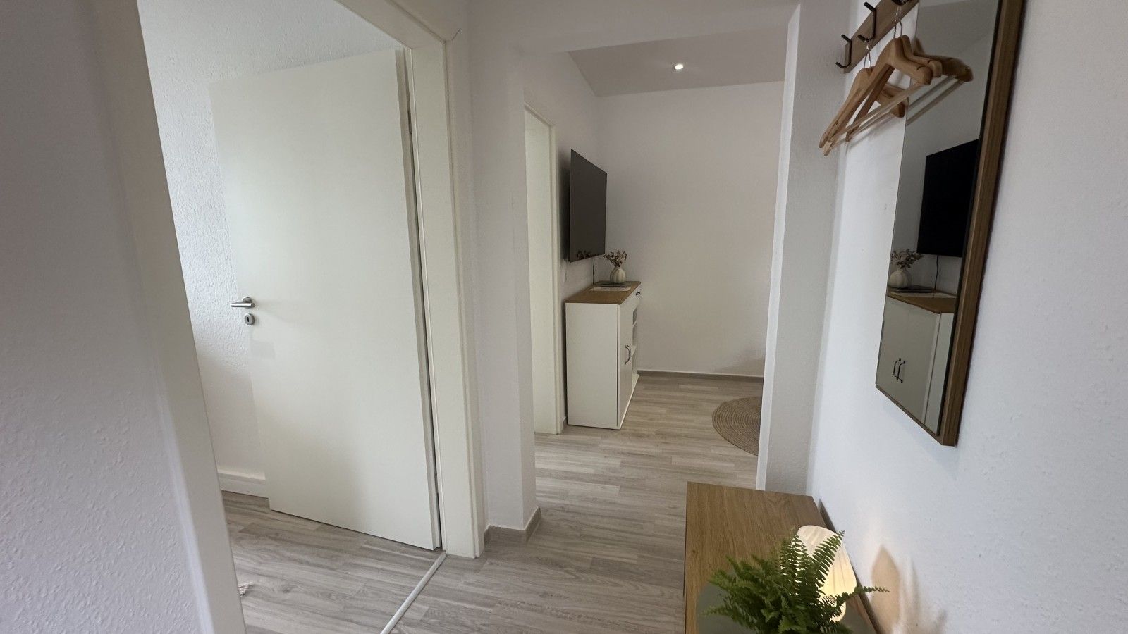 A hallway with a door, a small cabinet, a mirror, and a plant.