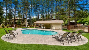 Piscina com espreguiçadeiras, cercada por gramado e árvores.