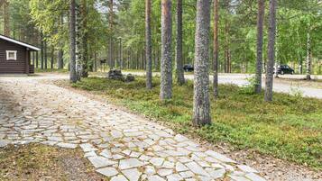 A stone pathway leading to a cabin in a forested area with tall trees and a clear sky.