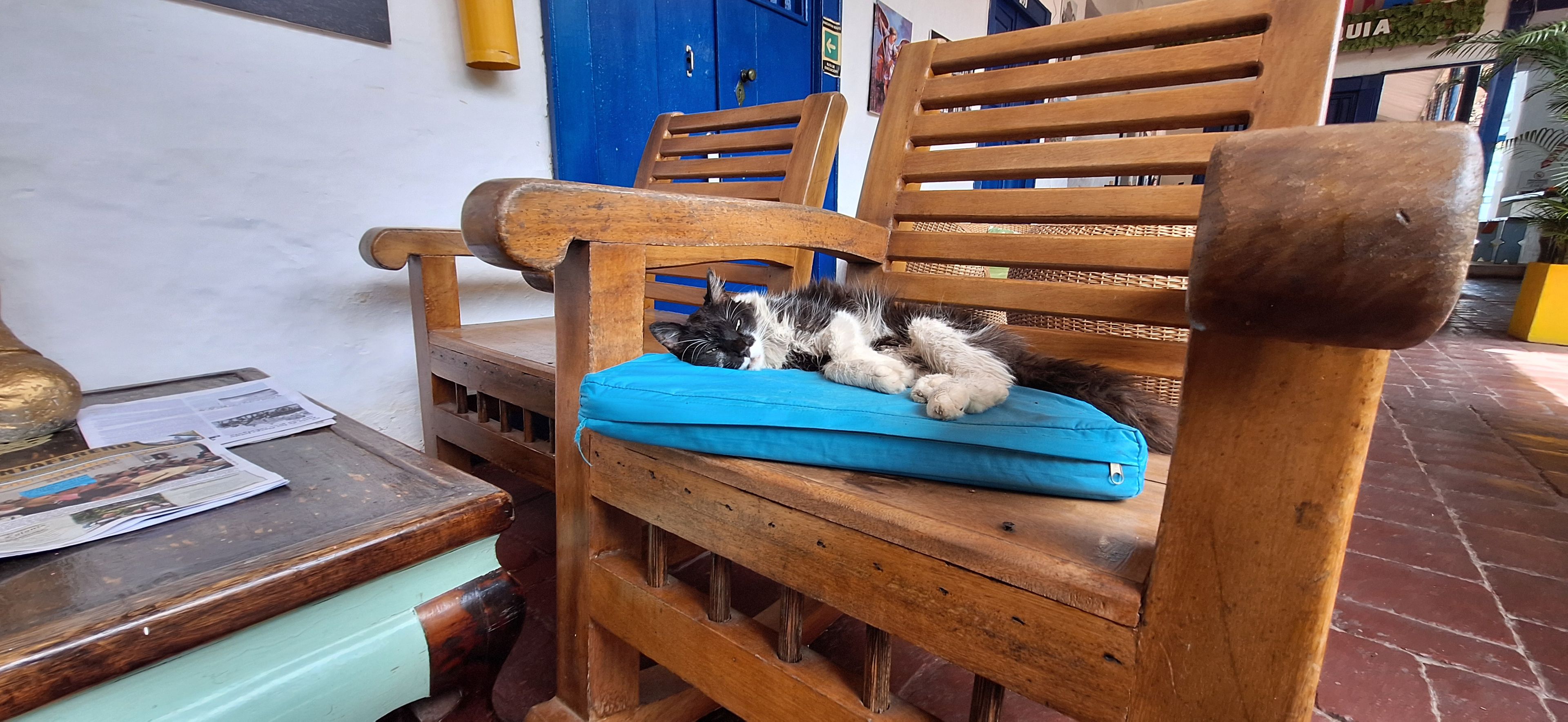 Un banco de madera con un cojín azul, un periódico sobre una mesa y una puerta azul al fondo.