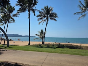 Ein Strand mit Palmen, blauem Himmel und ruhiger See.