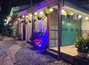 A building with a green door, potted plants, and hanging lights.