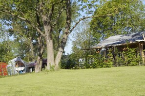 A large tree in a grassy area with a building in the background. - Fischerhus Krummin - Thatched-roof house with a private sauna (Krummin)