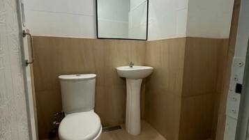 A bathroom with a toilet, sink, and mirror.