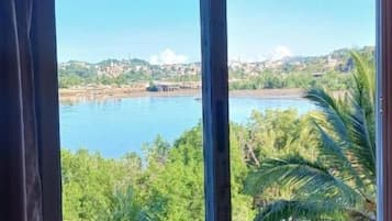 Una ventana con vista a una masa de agua, vegetación y edificios lejanos.