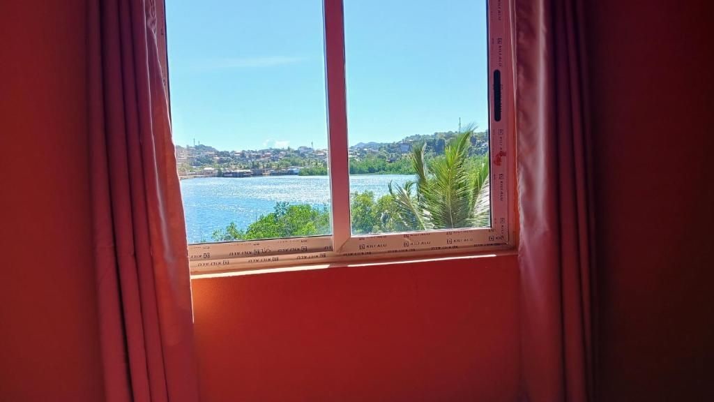 Una ventana con vistas a un cuerpo de agua y vegetación.