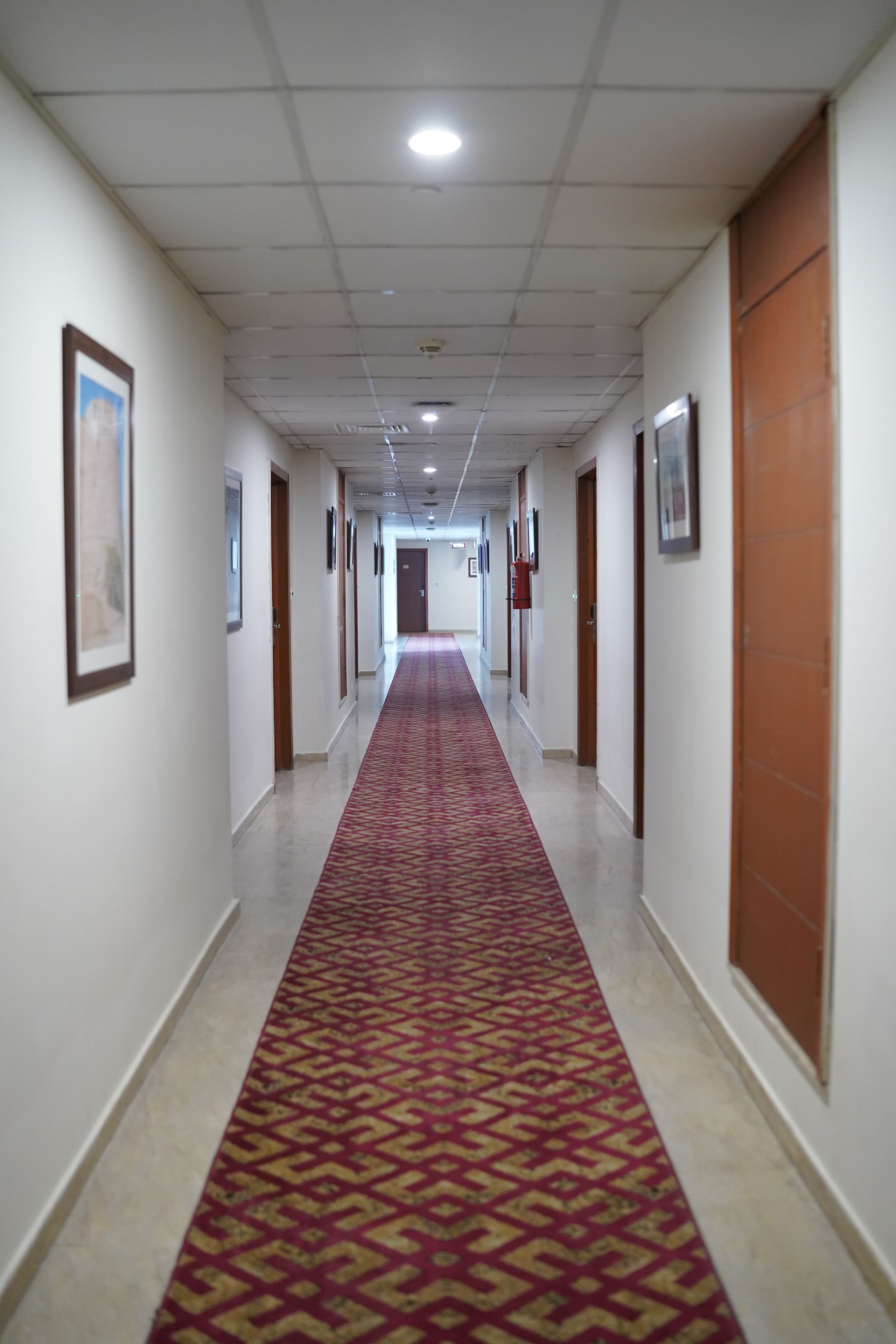A long, narrow hallway with a patterned carpet, white walls, and doors on either side.