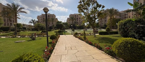 A paved pathway leading through a landscaped area with palm trees and shrubs, surrounded by multi-story buildings.