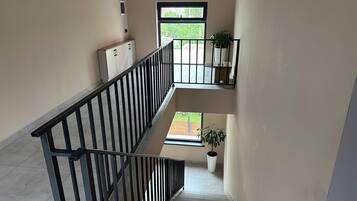 A multi-level interior with a staircase, a window with a view of greenery, and a potted plant.