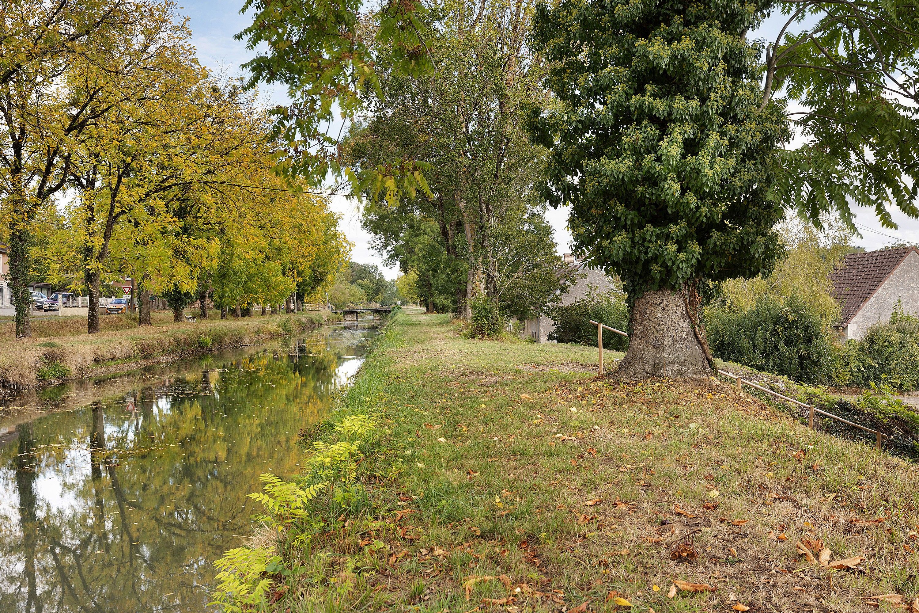 Een rustig rivierlandschap met een brug, bomen en een gazon.