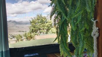 A room with a large window, a potted fern, a heater, and a small table.