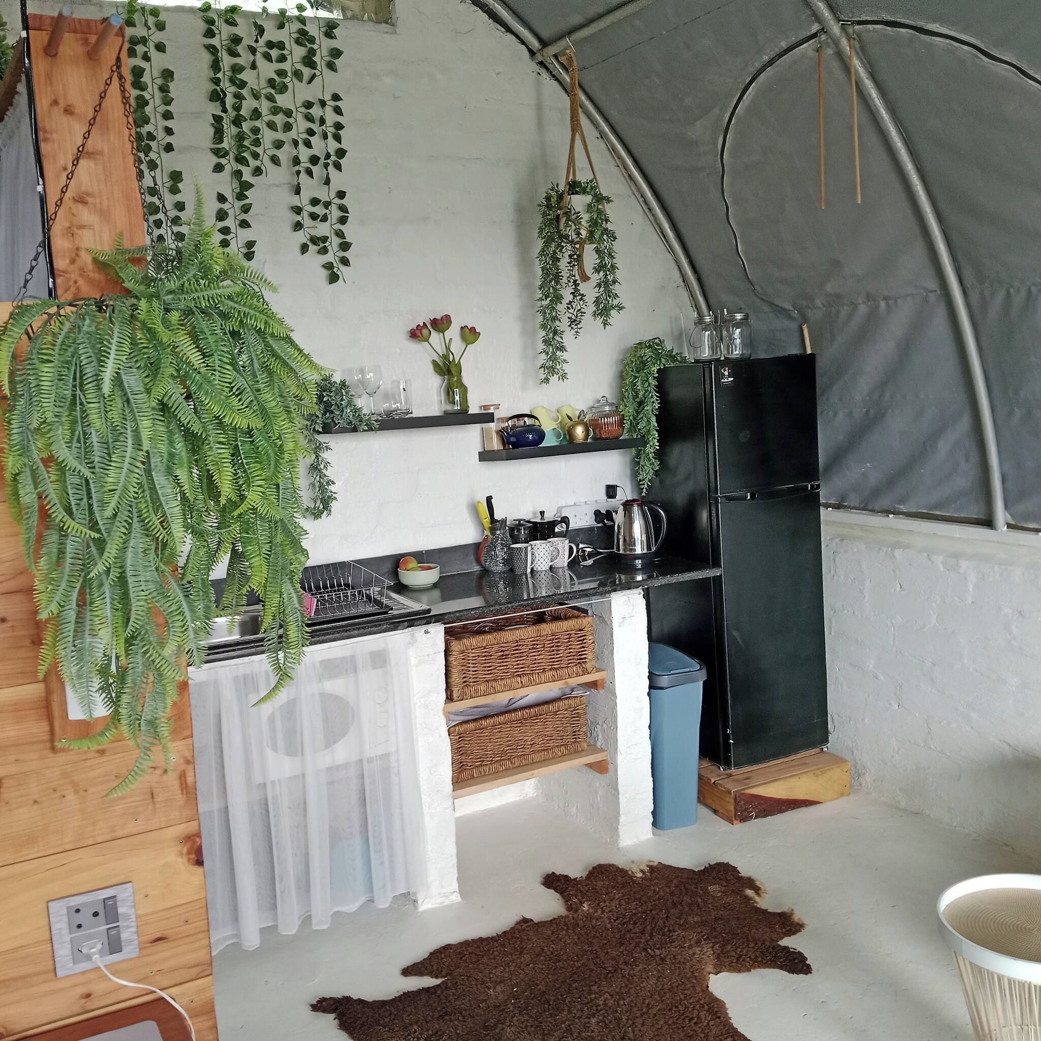 A compact kitchen with a black refrigerator, a sink, and a hanging plant.