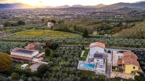 A residential area with houses, a swimming pool, and olive groves. - Villa Asti a luxury villa for enjoyment in Tuscany (Capannori)