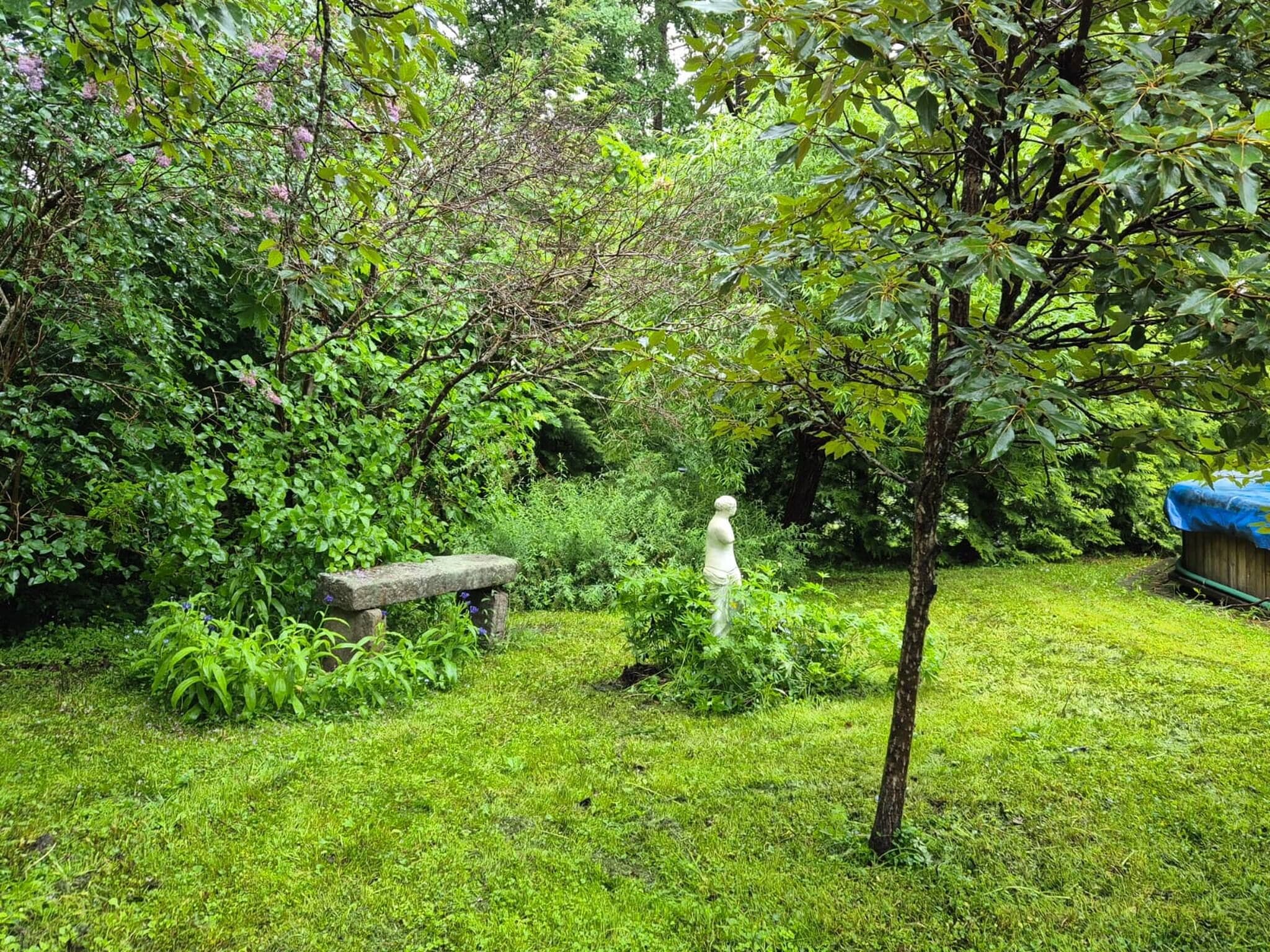 A lush garden with a stone bench, a statue, and dense foliage.