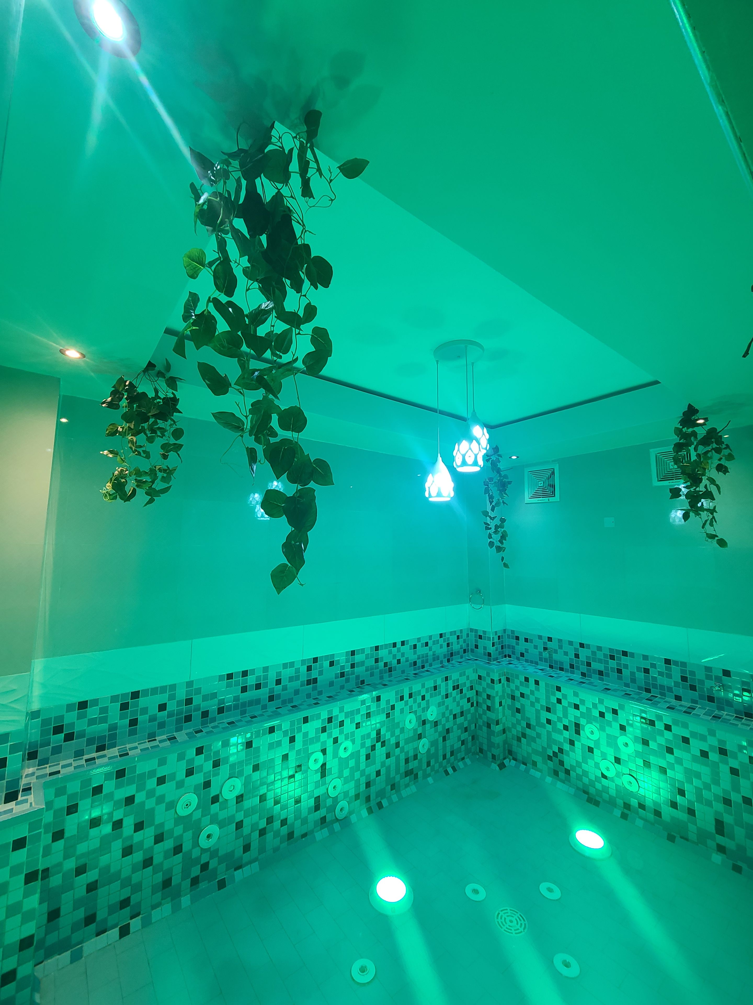 A room with a tiled floor, hanging plants, and pendant lights.