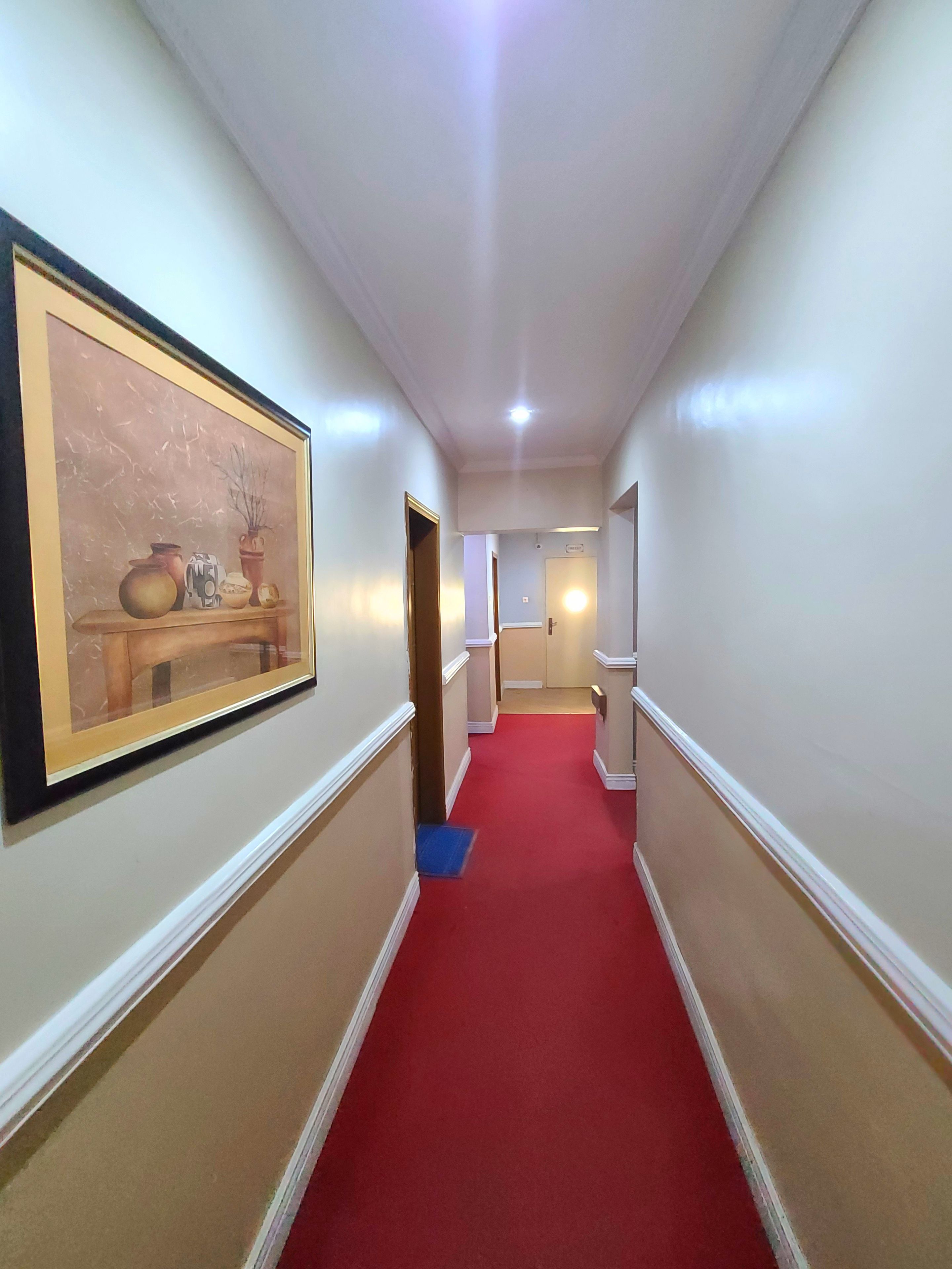 A hallway with a red carpet, white walls, and a framed artwork on the left.
