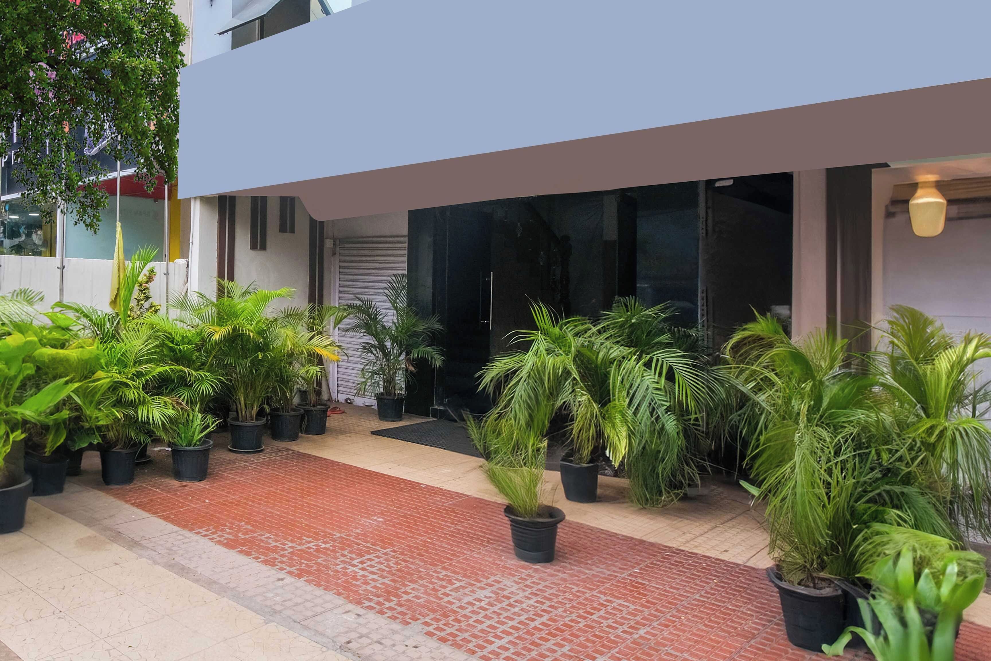 A modern building with a paved walkway and multiple potted plants.