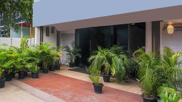 Un edificio moderno con un sendero pavimentado y varias plantas en macetas.