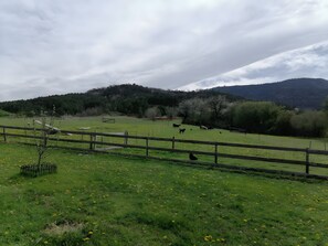 Un potrero cercado con animales pastando y un paisaje montañoso al fondo.