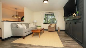 Smart TV, fireplace, books