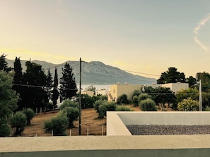A residential area with a view of mountains and a body of water. - NIMA Suites (Palairos)