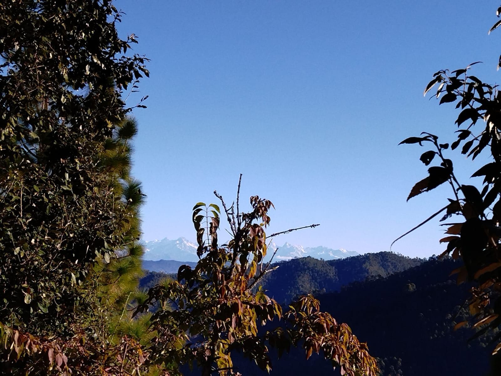 A mountainous landscape with dense foliage and a clear sky.