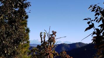 A mountainous landscape with dense foliage and a clear sky.