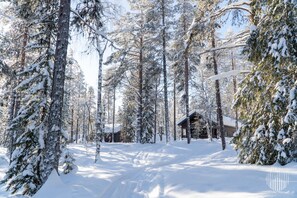 Een besneeuwd bos met een hut.