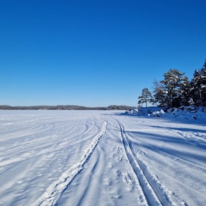 Et sneklædt landskab med klar himmel og en sti, der fører til en skov.