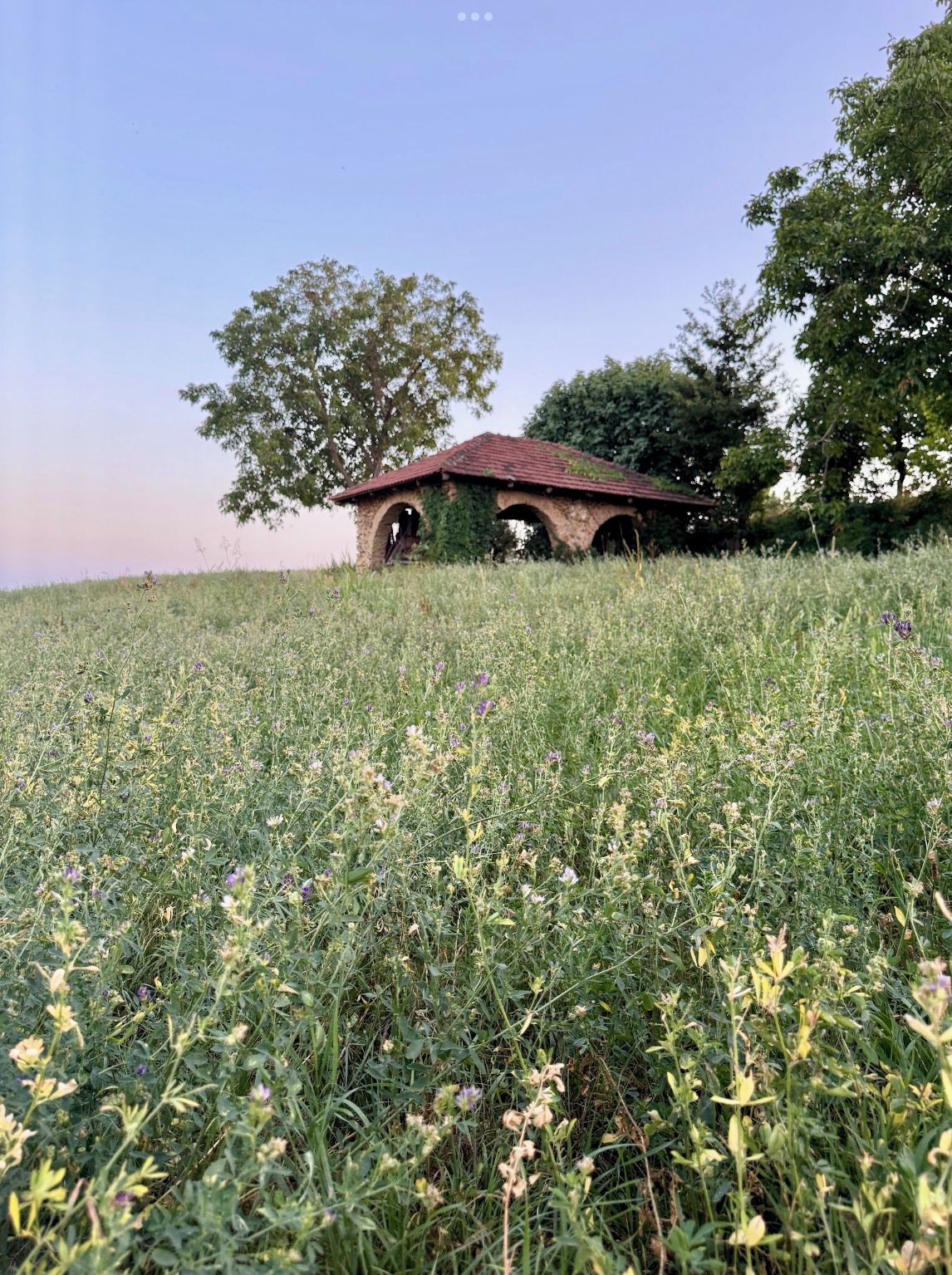 A rustic stone structure with a red roof, surrounded by a field of wildflowers and trees.