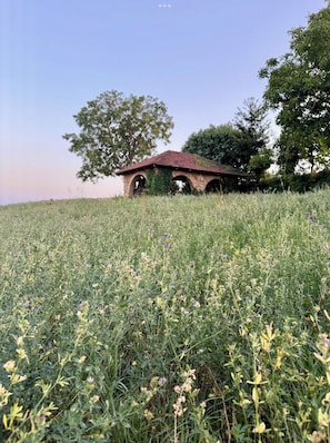 A rustic stone structure with a red roof, surrounded by a field of wildflowers and trees.