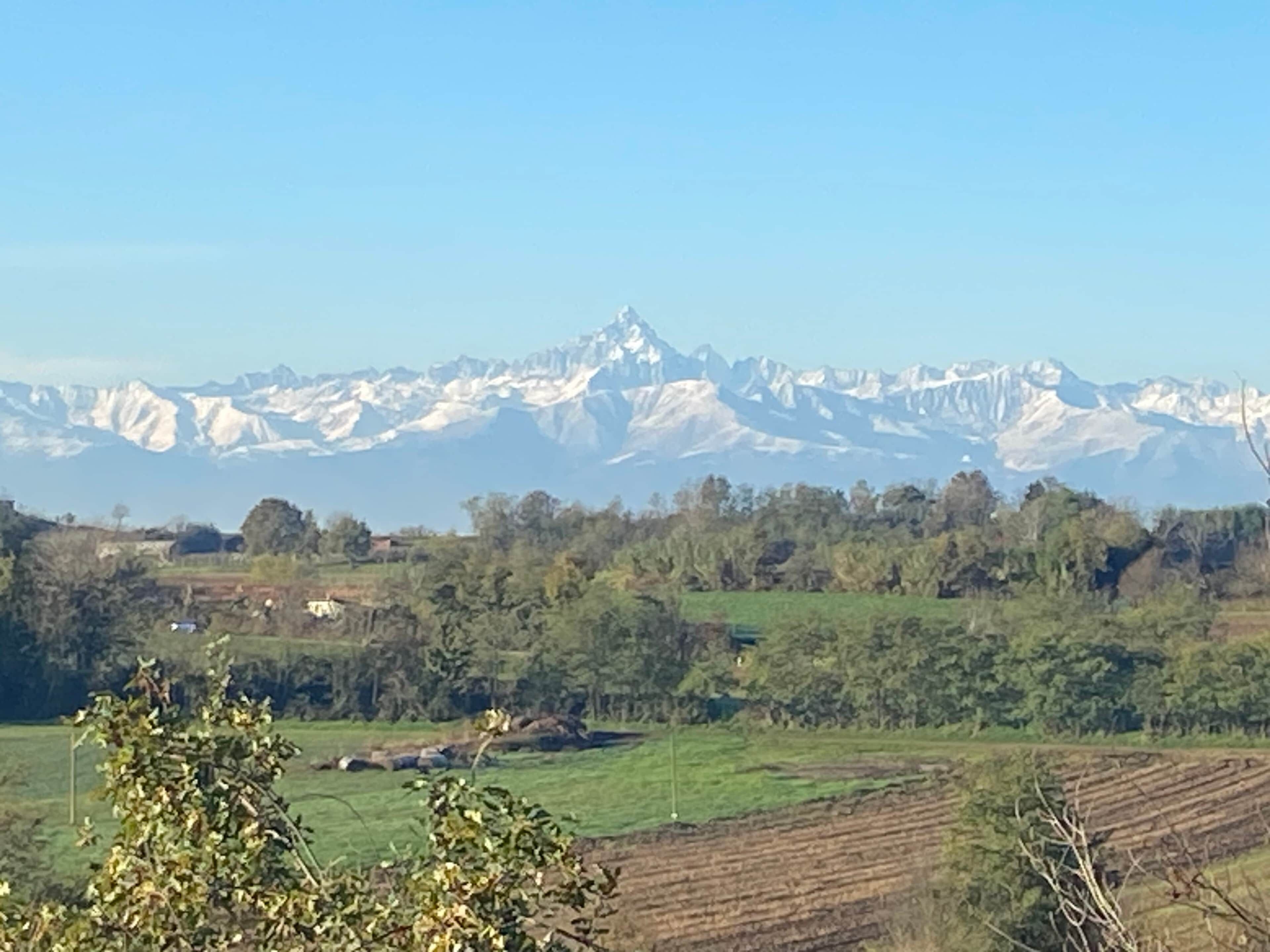 Un paysage montagneux avec des sommets enneigés à l’horizon, un champ verdoyant au premier plan et un ciel bleu dégagé.