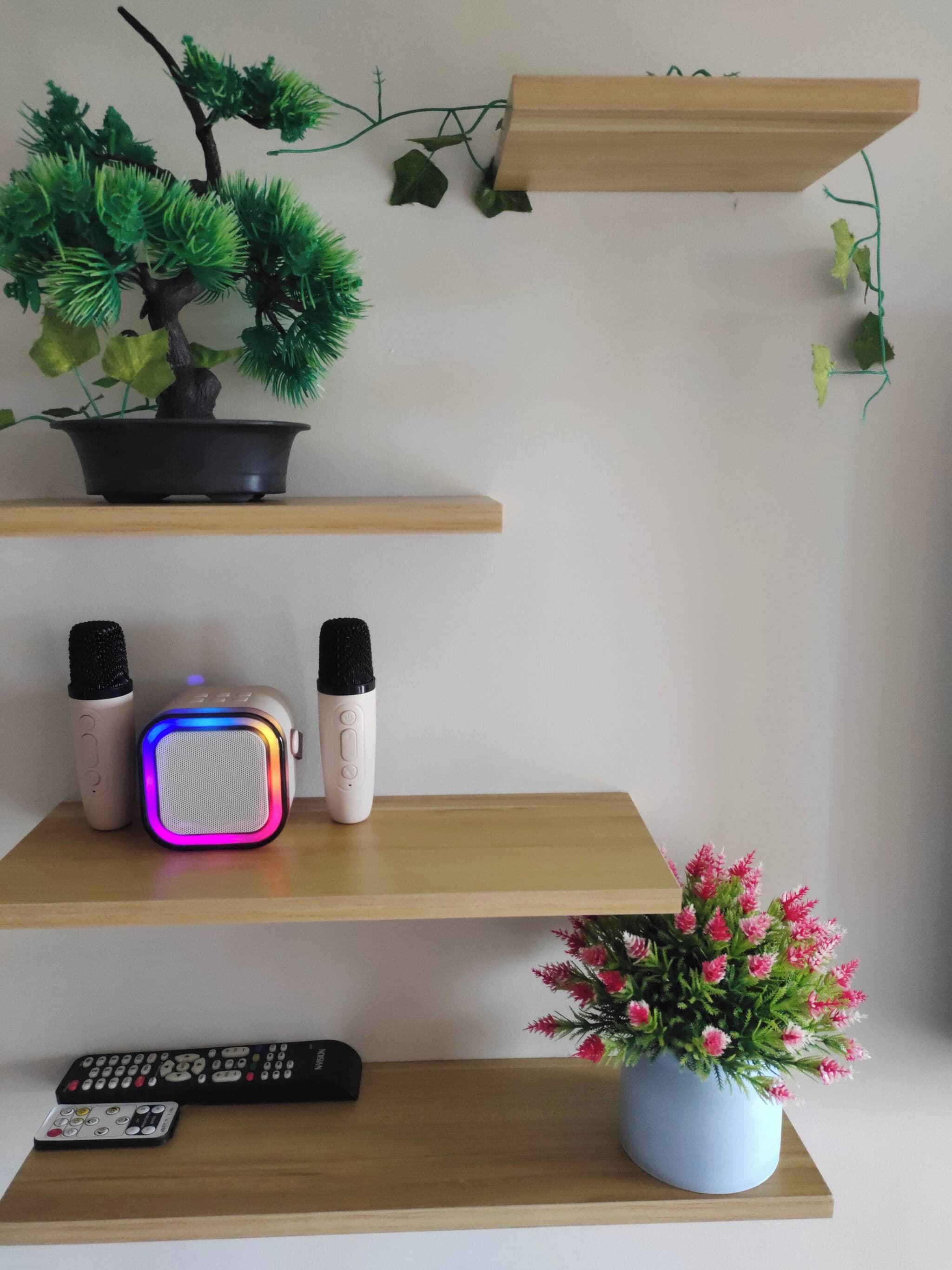 Een plank met een potplant, twee speakers en een afstandsbediening.