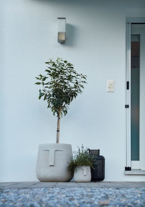 A building entrance with a potted plant, a wall-mounted light fixture, and a door.