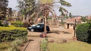 A residential area with a palm tree, a paved driveway, and a parked car.