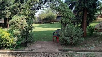 Un jardin avec un sentier menant à un espace aménagé pour s’asseoir, entouré d’arbres et de verdure.