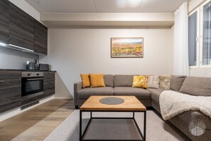 Een moderne woonkamer met een bank, een salontafel en een keukenhoek met een fornuis en kastjes.