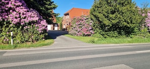 Une route menant à un bâtiment doté d’un toit rouge, entouré d’une végétation luxuriante et de buissons en fleurs.