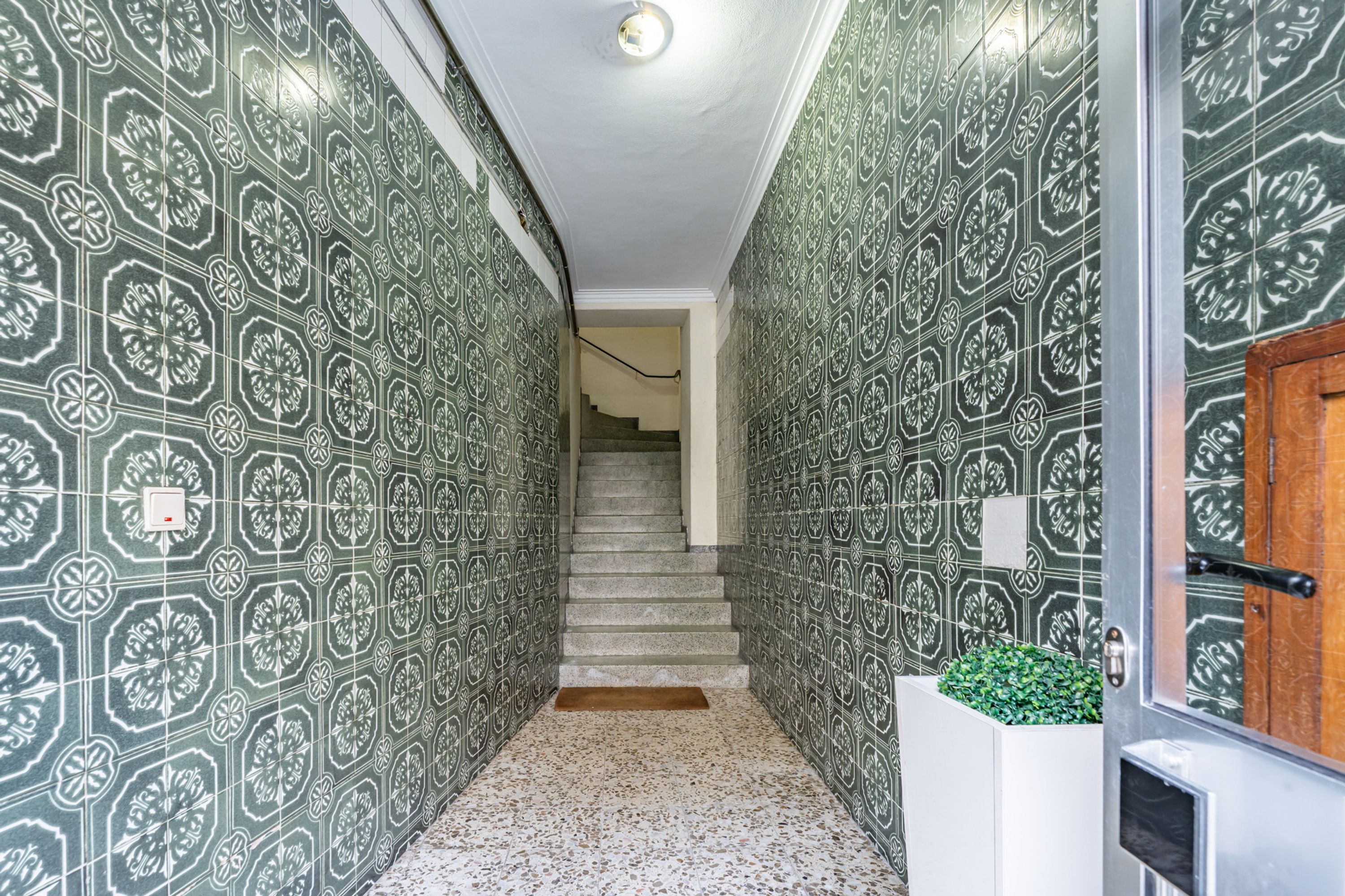Un pasillo con paredes decoradas y una escalera que lleva a otra habitación.