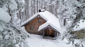 A log cabin with a snow-covered roof, surrounded by tall pine trees.