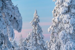 A snowy landscape with trees covered in snow. - Ylläs Sivulantie 4 203 by Holiday in Lapland (Äkäslompolo)