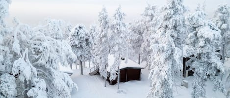 Un paysage enneigé avec une cabane entourée d’arbres.
