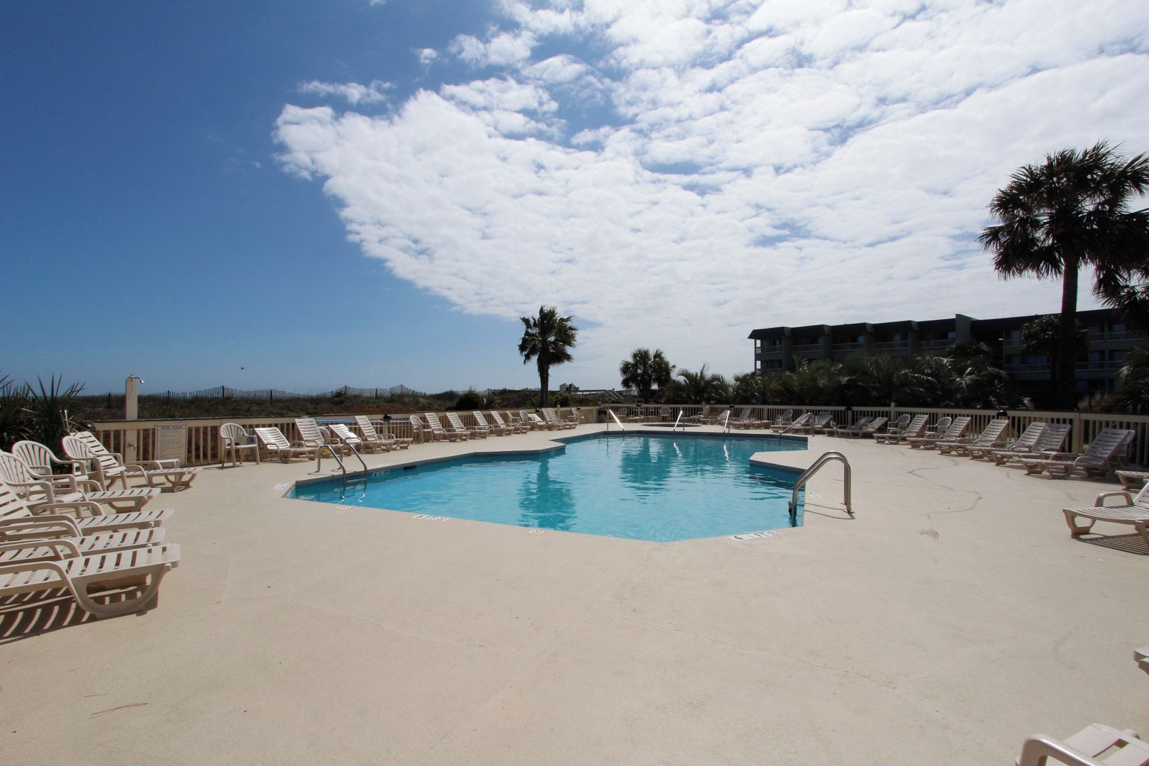 A pool with lounge chairs, a palm tree, and a building in the background.