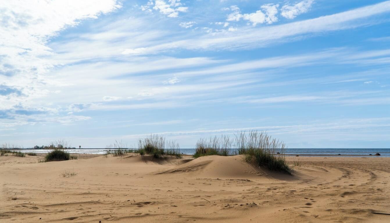 A sandy beach with dunes and sparse vegetation.