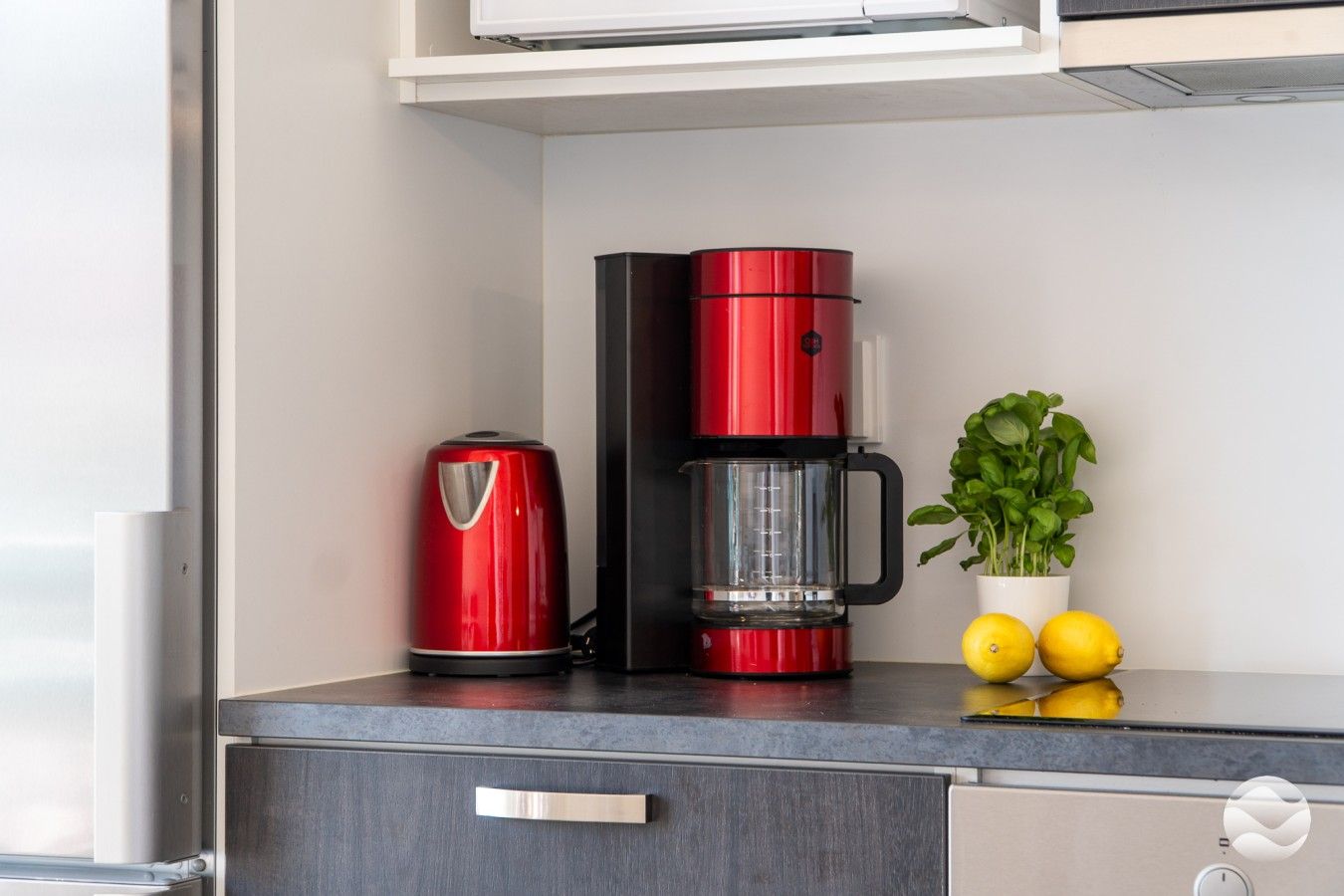 A kitchen counter with a red coffee maker, a black coffee maker, and a potted plant with lemons.