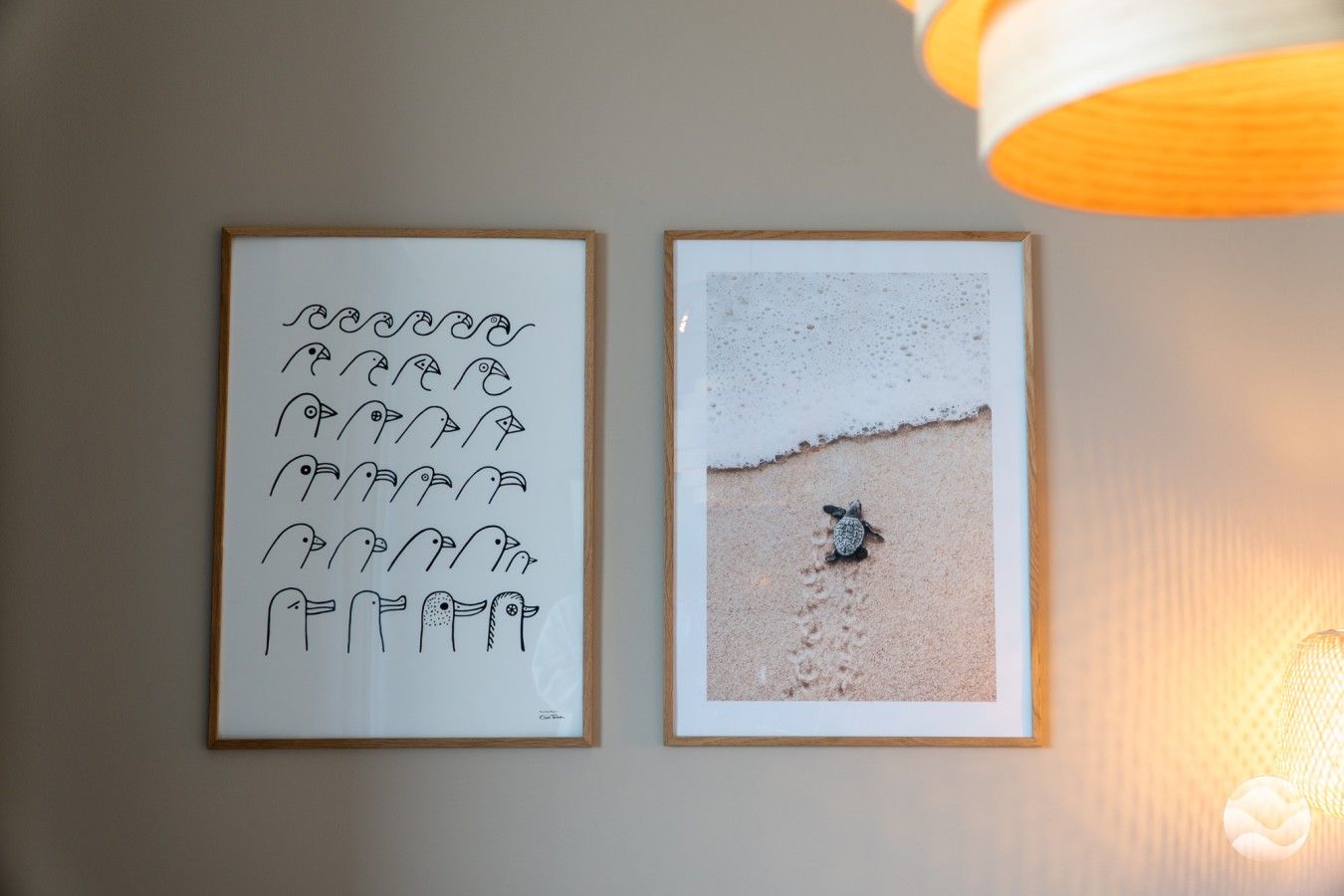 Two framed pictures on a wall, one with a pattern of bird heads and the other with a turtle on a beach.