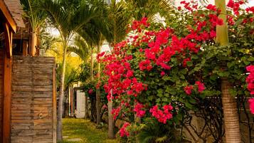 Un sendero conduce a una estructura de madera con techo de paja, rodeada de abundante vegetación y plantas con flores.