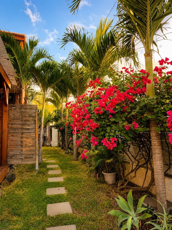 A pathway leading to a wooden structure with a thatched roof, surrounded by lush greenery and flowering plants.