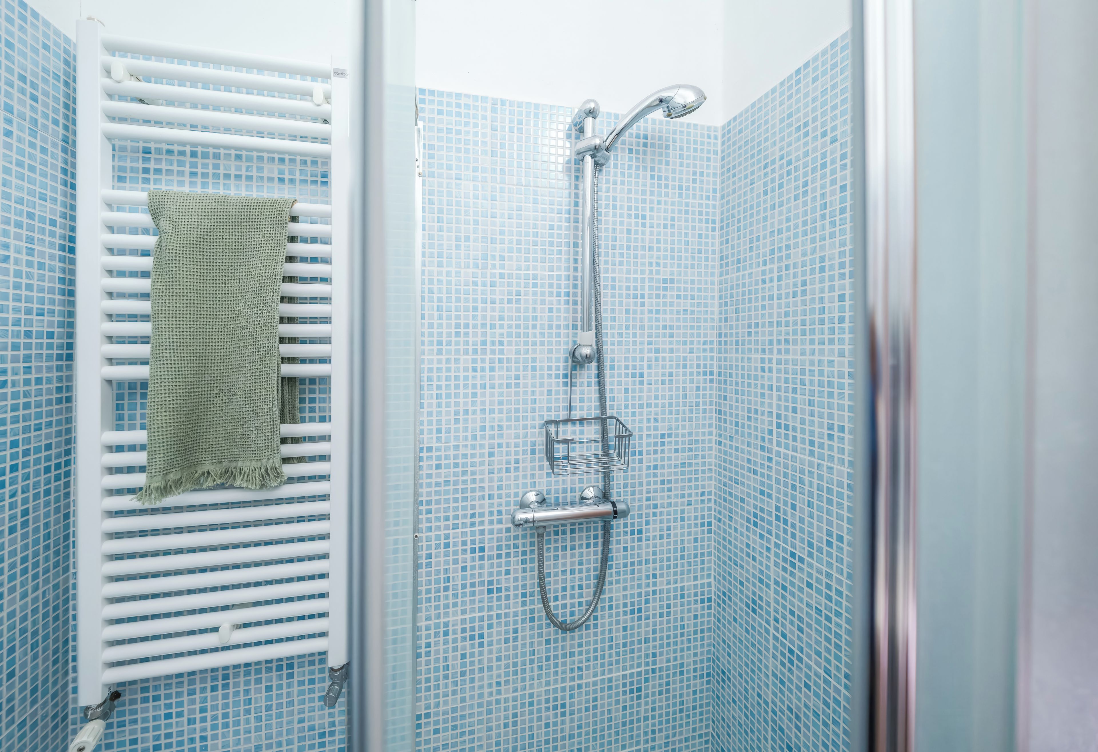 Une douche avec une porte en verre, un porte-serviettes avec une serviette et un pommeau de douche.