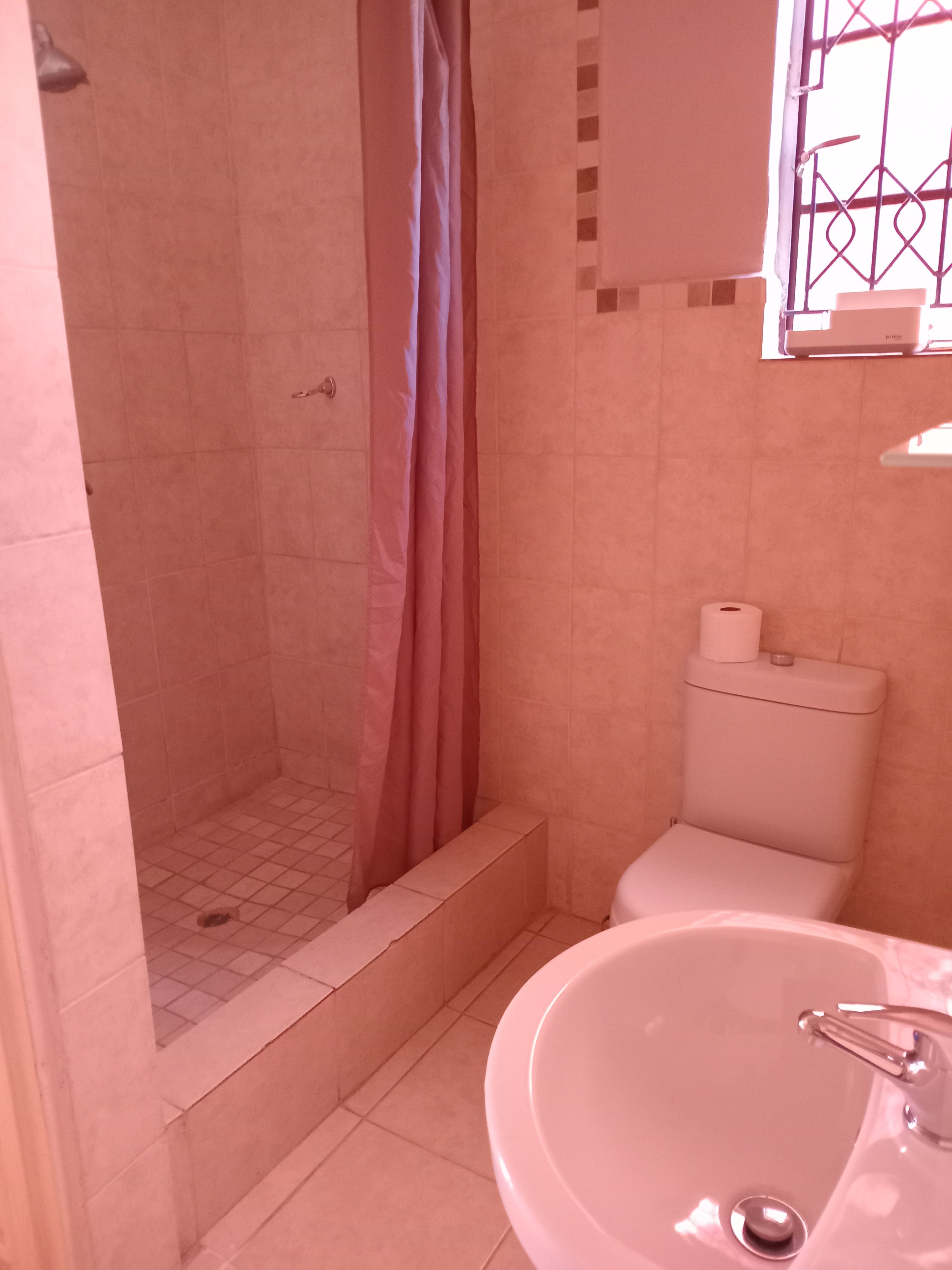 A bathroom with a shower, toilet, and sink.